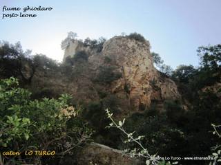 stoleone-31-08-2015 09-05-48